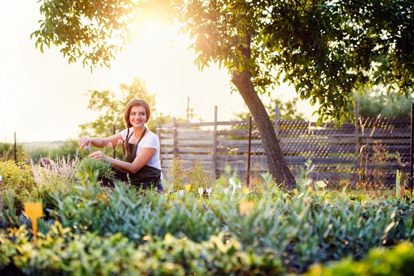 Woman gardening in the morning