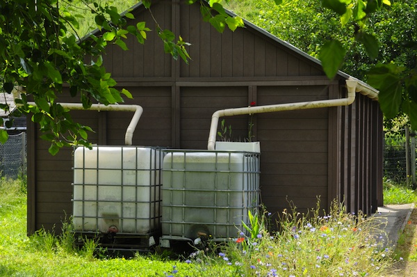 rain barrels