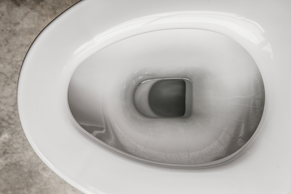 toilet bowl
