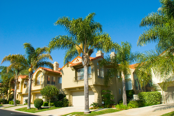 Californian home shaded by palm trees and the angle of the sun