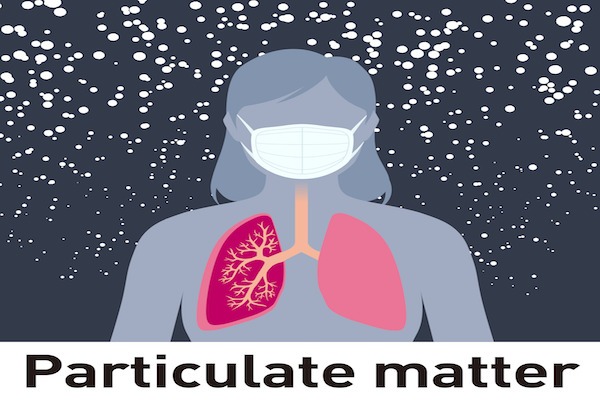 graphic depicting particulate matter in the air around an x-ray of a woman and her lungs