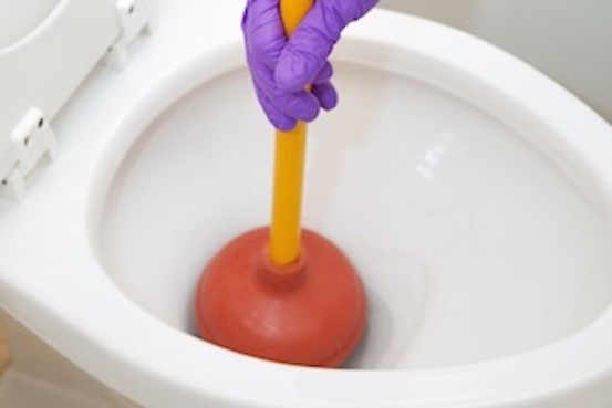 A plunger cup sits neatly over a toilet drain.