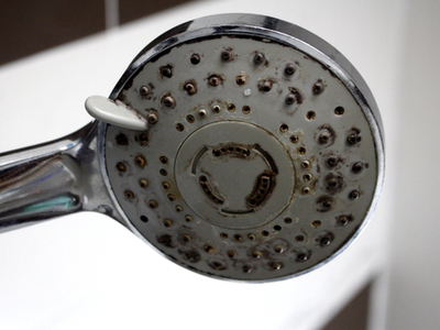 A moldy shower head.