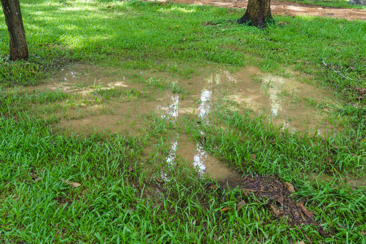 flooded-lawn
